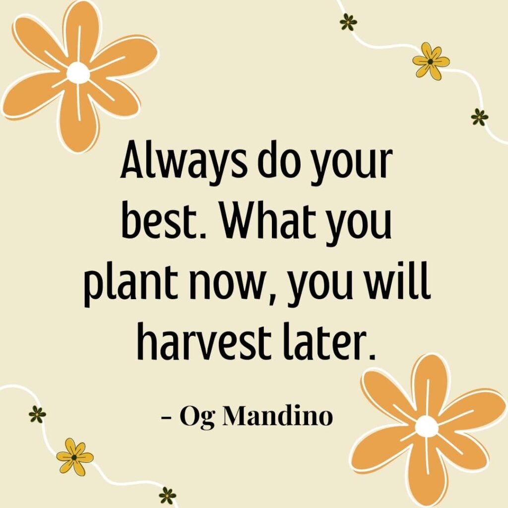 Motivational Quotes (31)