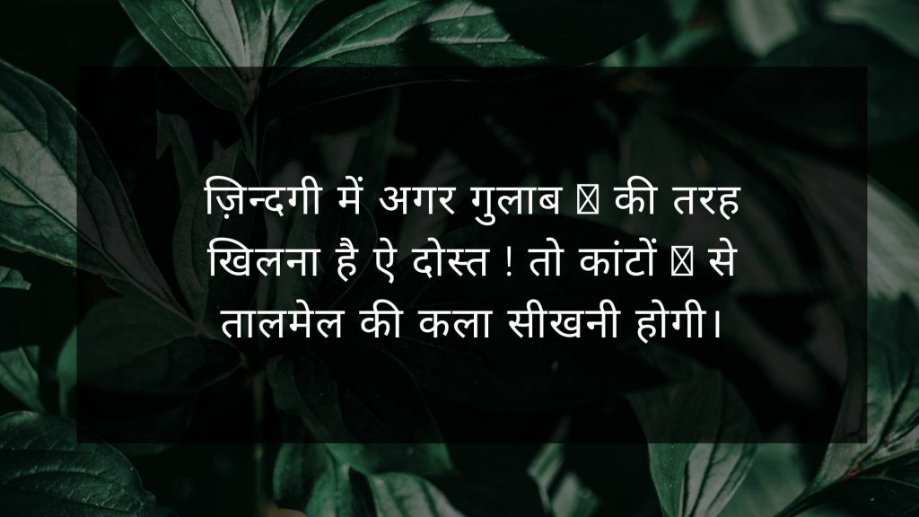 life status in hindi (2)