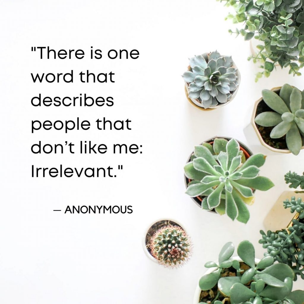 funny quotes (15)