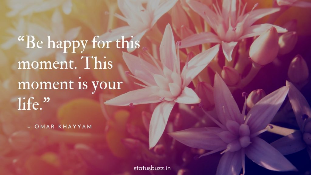 happiness quotes (14)