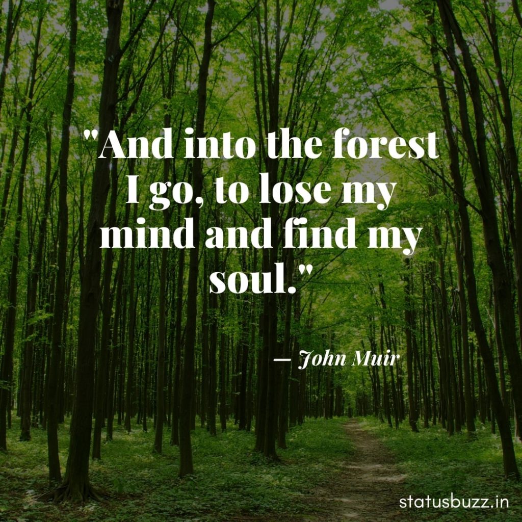 nature quotes (12)