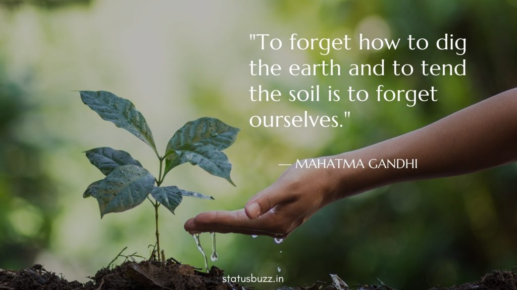 nature quotes (15)