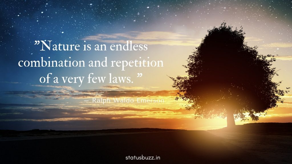nature quotes (18)