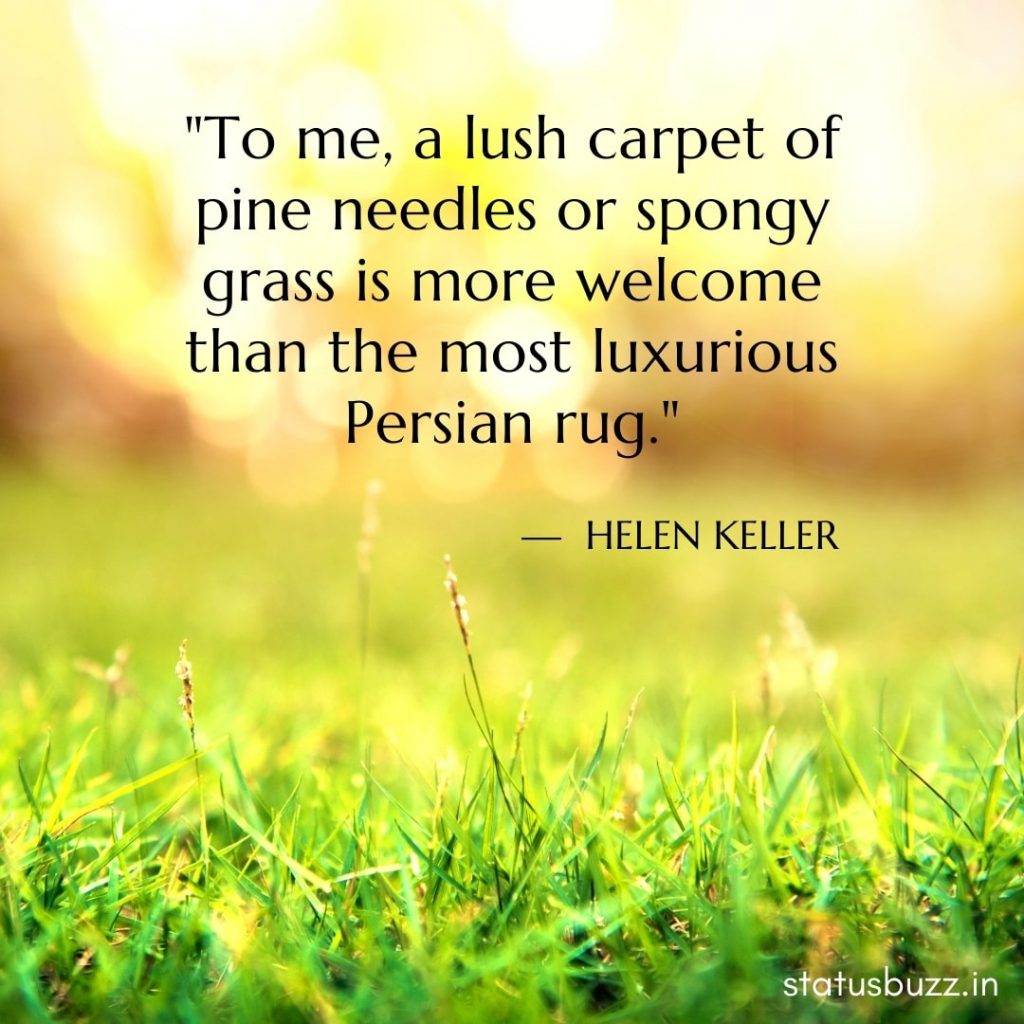 nature quotes (3)