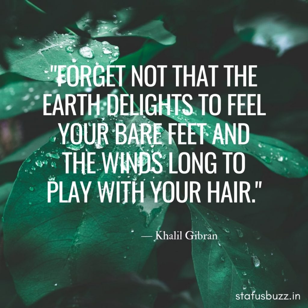 nature quotes (4)