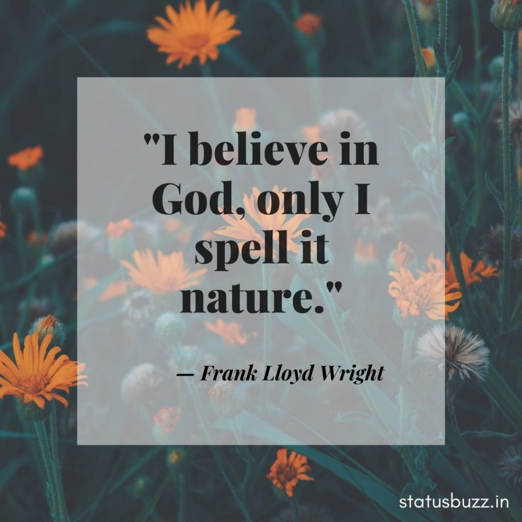 nature quotes (7)