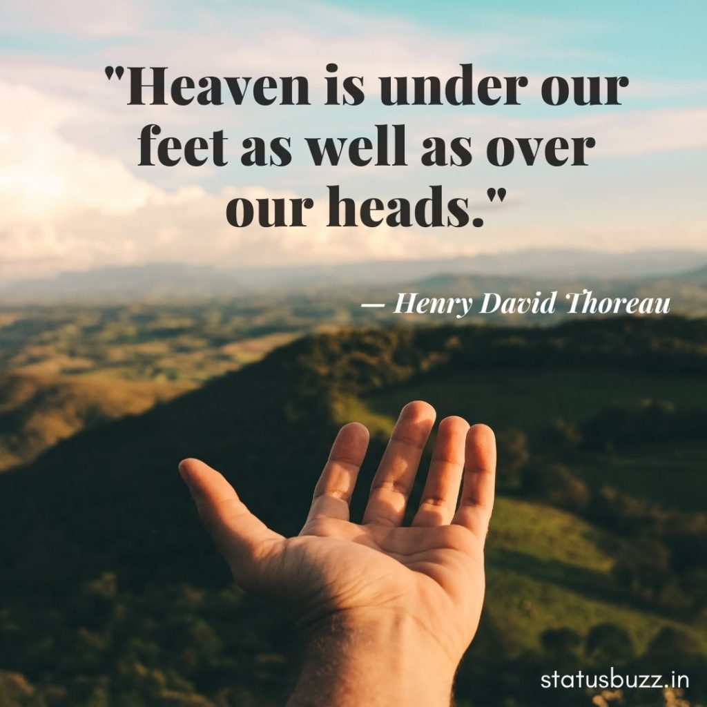 nature quotes (8)