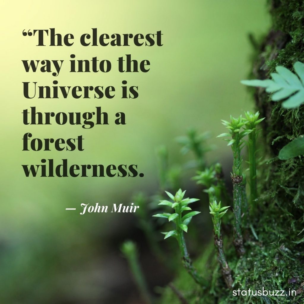 nature quotes (9)