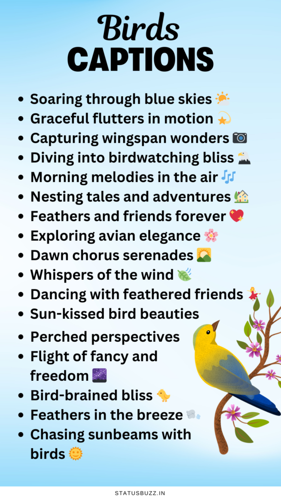 birds captions