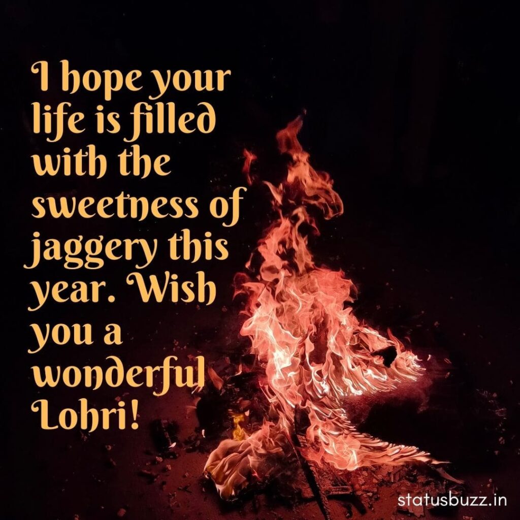 lohri wishes (9)