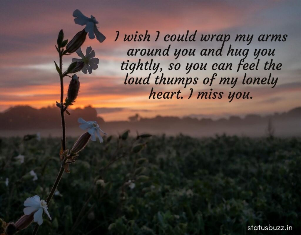miss you status (2)
