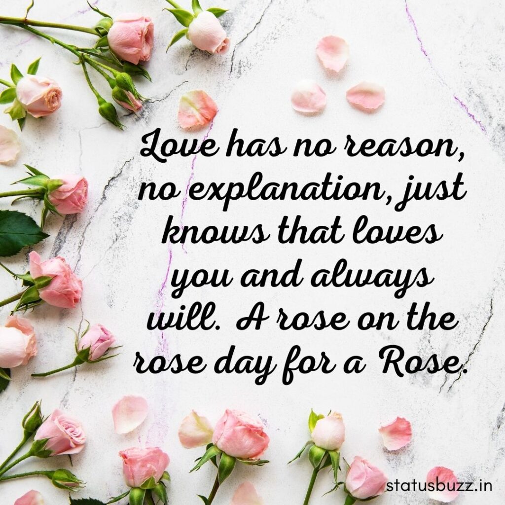 rose day wishes (14)