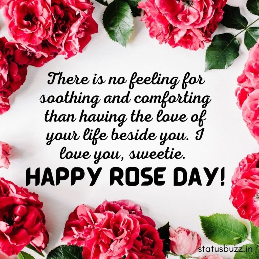 rose day wishes (4)