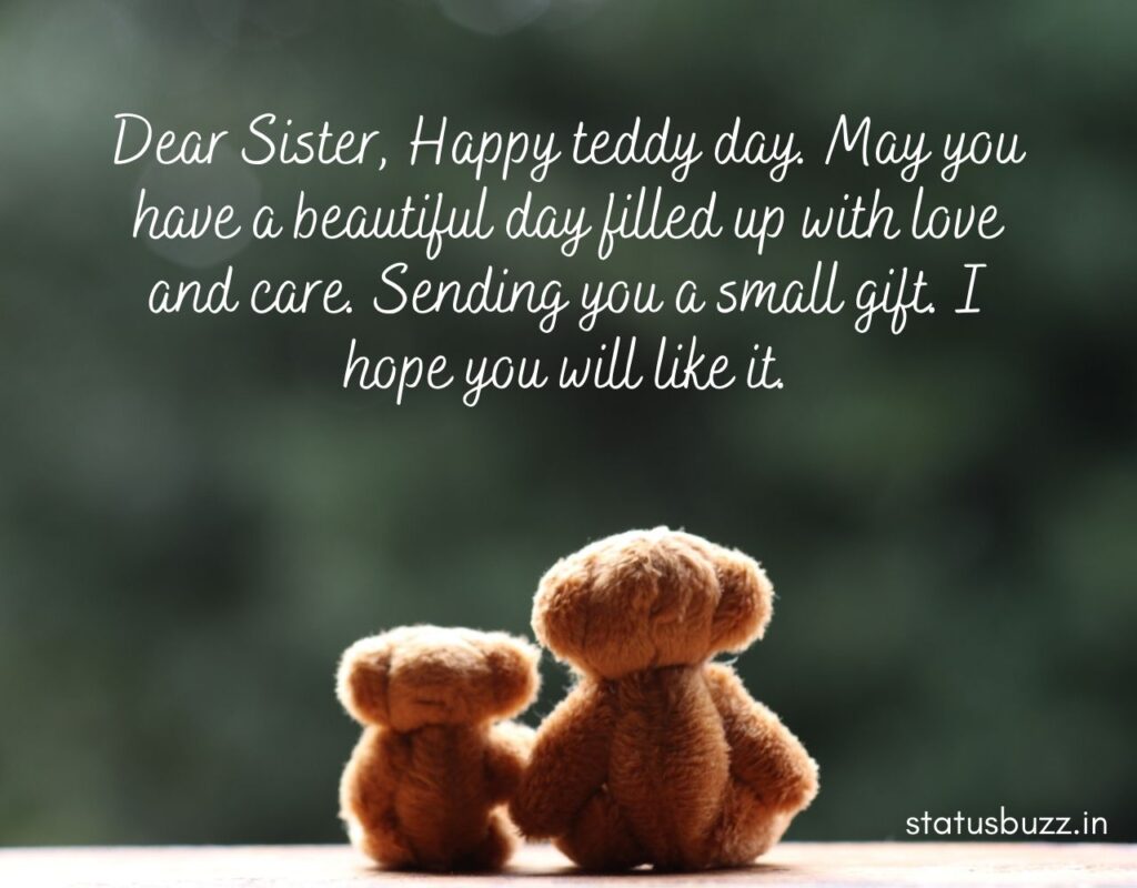teddy day wishes (11)