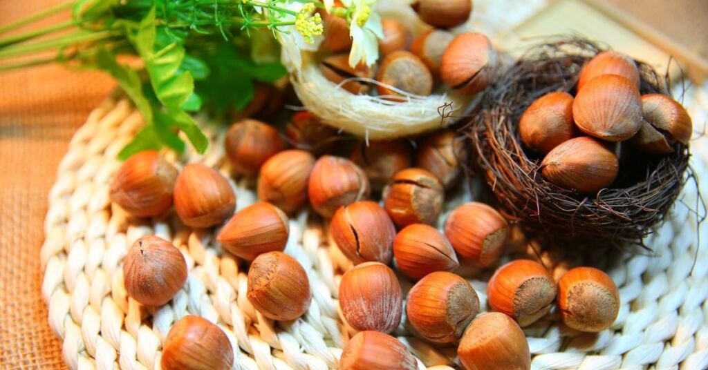 hazelnuts