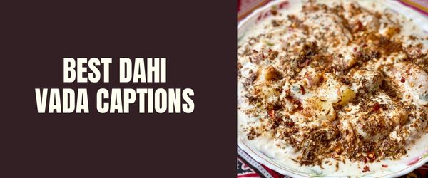 BEST DAHI VADA CAPTIONS