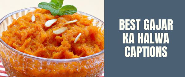 best GAJAR KA HALWA CAPTIONS