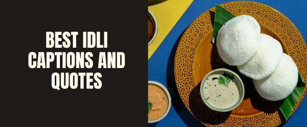 BEST IDLI CAPTIONS AND QUOTES
