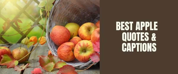 BEST APPLE QUOTES & CAPTIONS