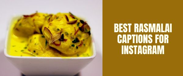 rasmalai captions