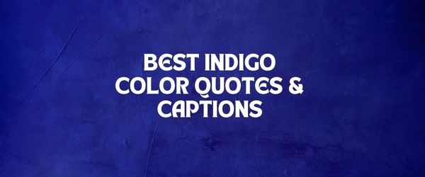 Indigo quotes