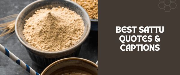 Sattu Quotes
