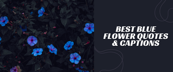 Best Blue Flower Quotes & Captions
