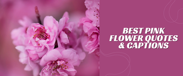 pink flower captions