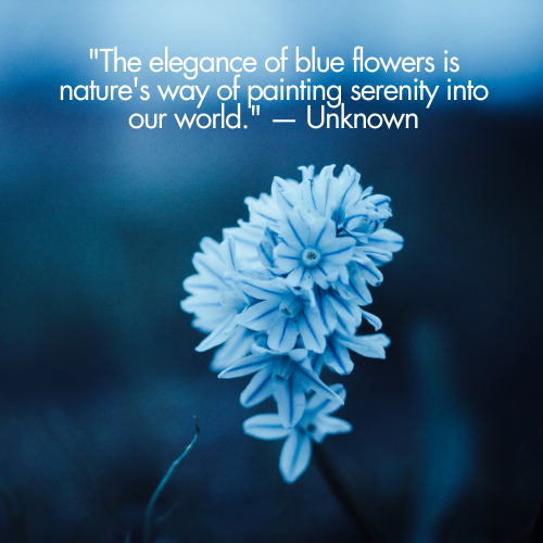 blue flower captions