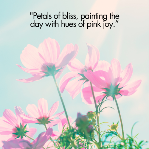 pink flower status