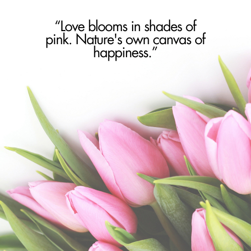 pink flowers captions
