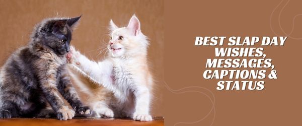 BEST SLAP DAY WISHES, MESSAGES, CAPTIONS & STATUS