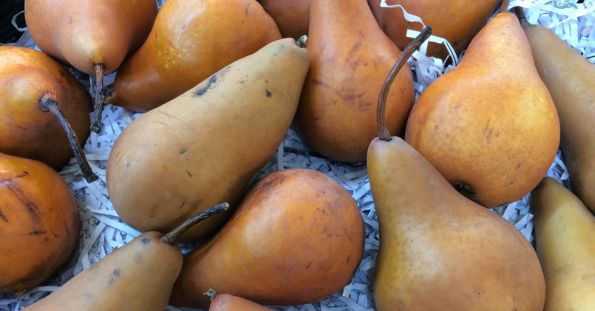 Brown Pears