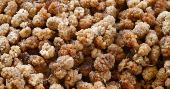 Brown mulberries