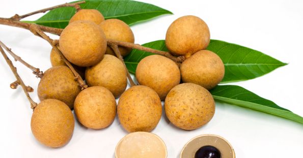 Longan