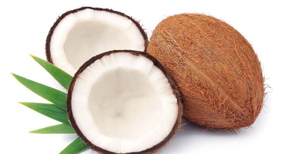 coconut