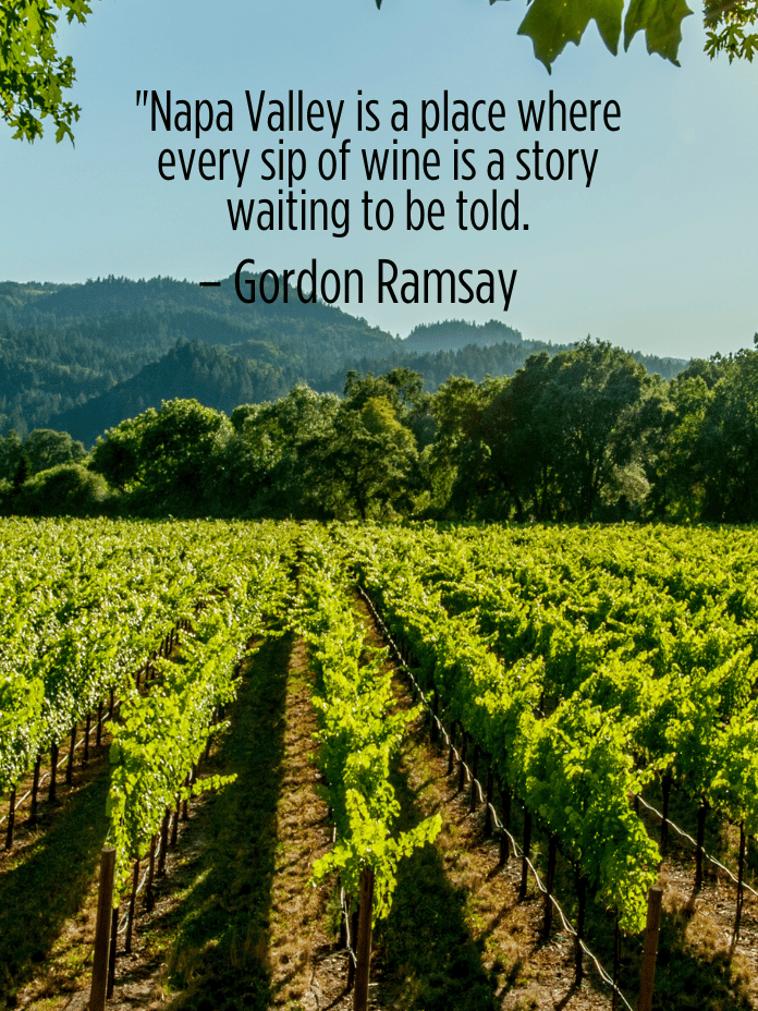 napa quotes