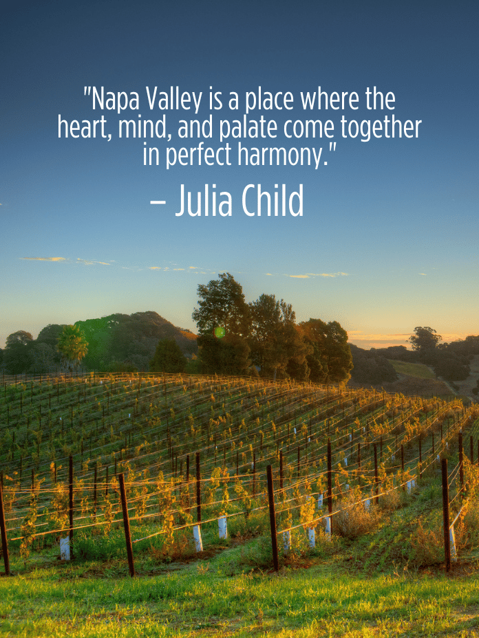 napa quotes