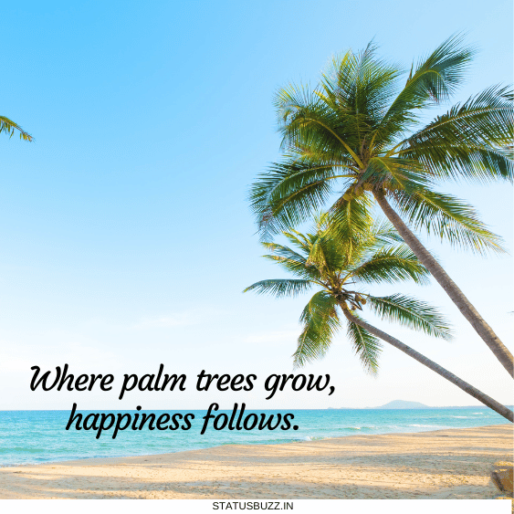 palm tree captions