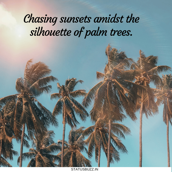 palm tree captions