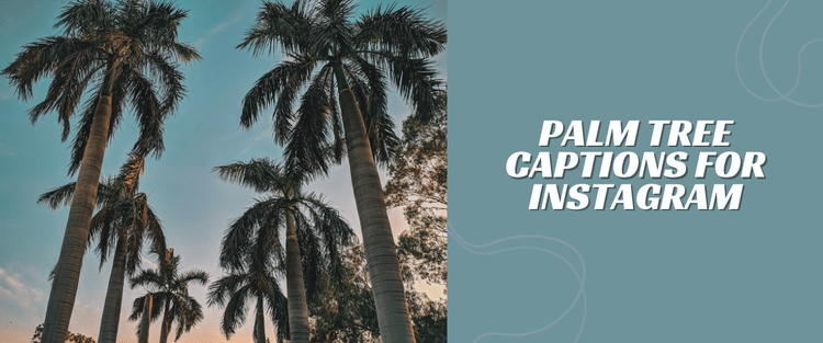 palm tree captions