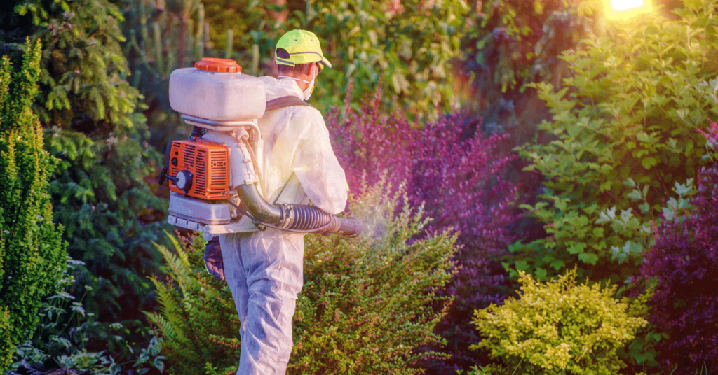 pest control quotes