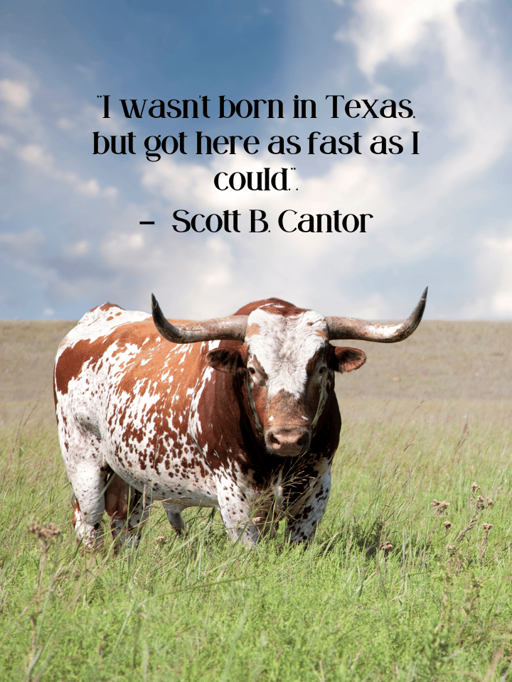 texas quotes