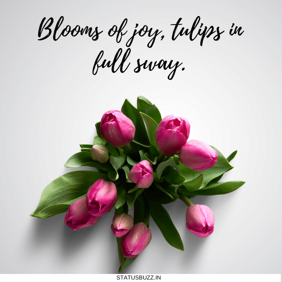 tulip captions for instagram