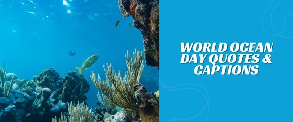 World Ocean Day QUOTES & CAPTIONS