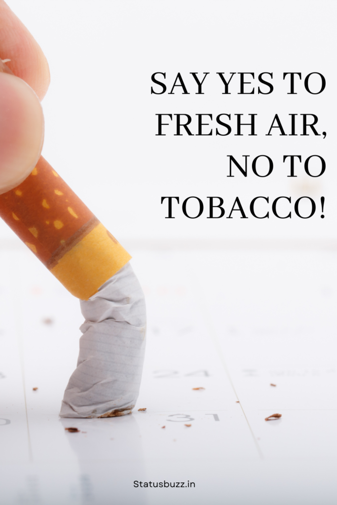 world tobacco day slogans