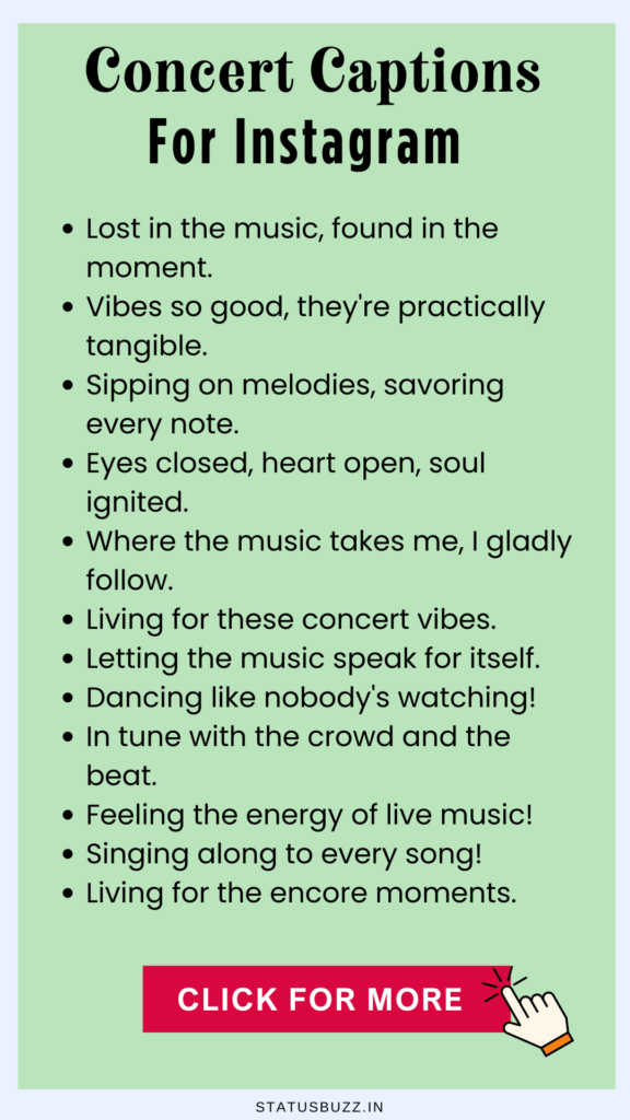 concert captions for instagram