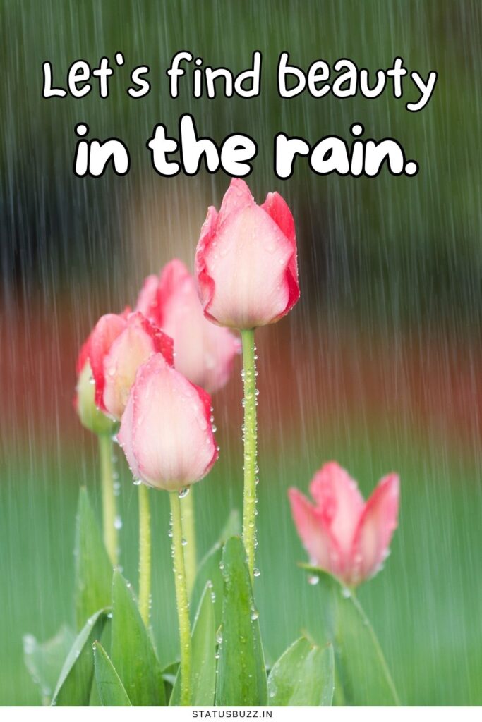 monsoon captions