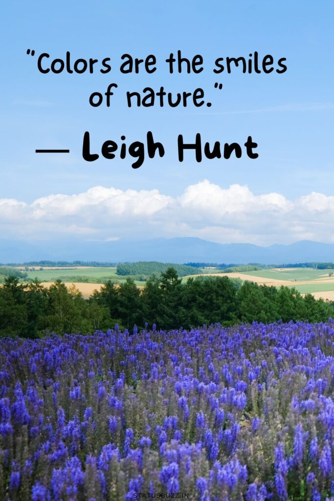 nature quote