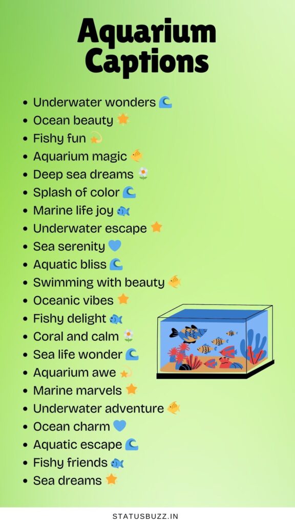 aquarium captions